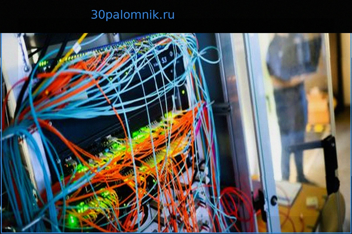 Задержан оператор 40+ фейковых интернет-магазинов: Конец мошеннической империи на Майорке