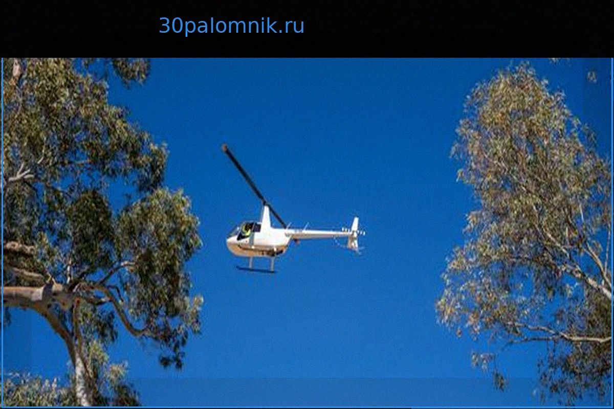 Австралия: Найдено тело пропавшей 5-летней Шарон Гранитес