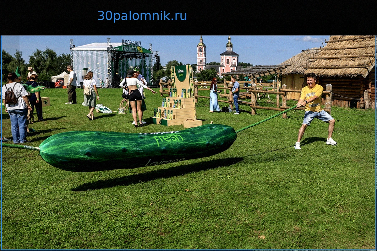 Ирландец о Празднике огурца в Суздале: «Сумасшедший рейв вокруг зеленого овоща»