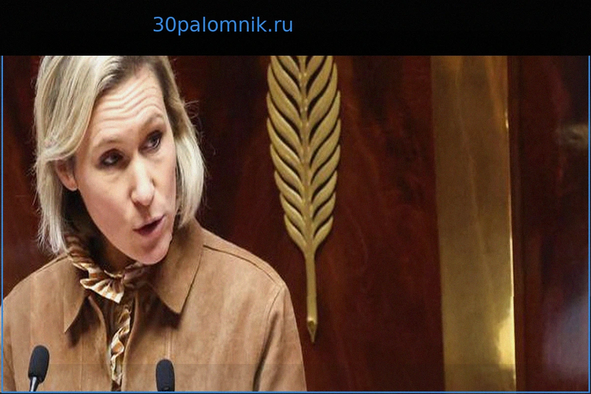 Сексуальное насилие: Национальное собрание приняло законопроект, обязывающий правосудие информировать жертв об освобождении их агрессора