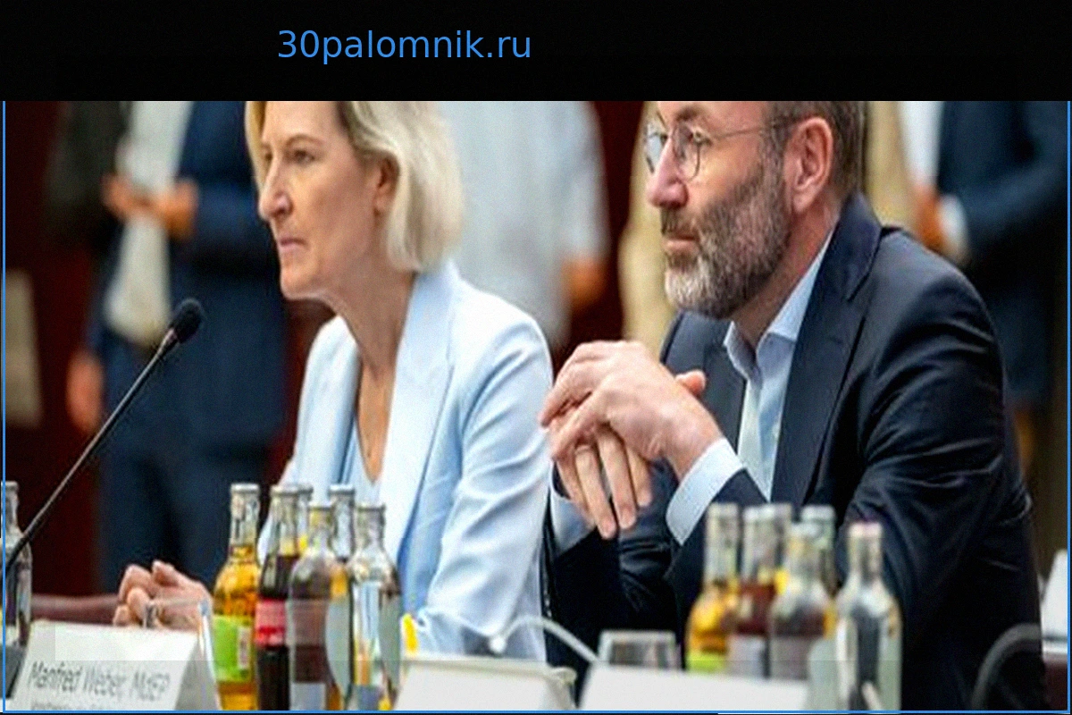 Подозрения в мошенничестве в ЕС: Спор о заблокированных расследованиях против Ангелики Ниблер