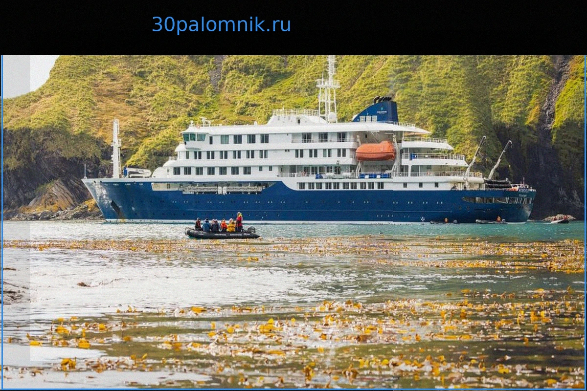 Три Смерти от Хантавируса на Круизном Лайнере: Заражение от Грызунов