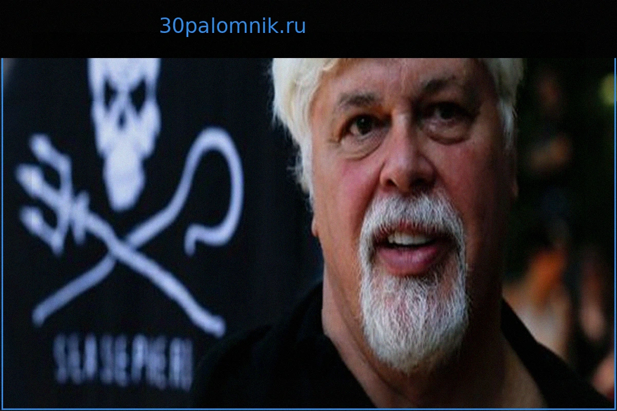 Исландия задерживает судно активистов по борьбе с китобойным промыслом