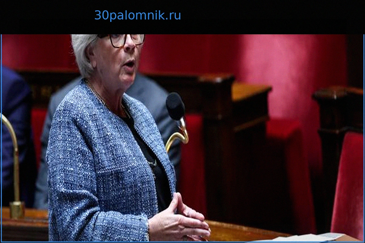 Национальное собрание Франции утверждает дополнительные 36 миллиардов евро на военную программу 2024-2030 годов