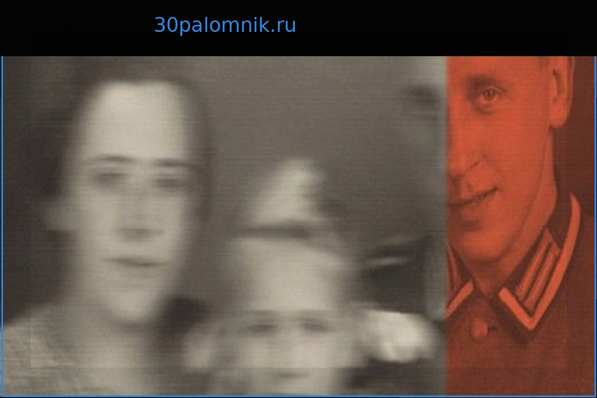 Архив НСДАП: Что нацистские карточки расскажут о ваших предках и соседях – Подкаст