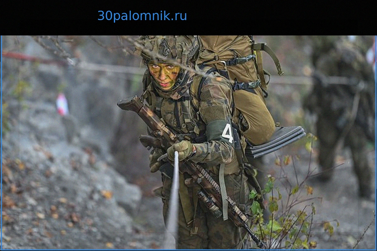 Подготовка Евросоюза к военному конфликту с Россией к 2030 году