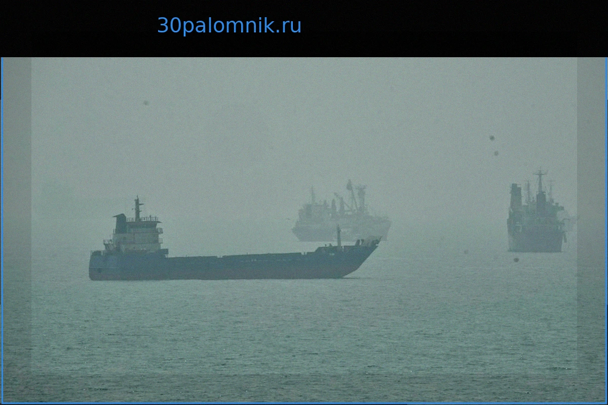 Ближневосточный конфликт: Инцидент с танкером в Ормузском проливе, заявления Ирана и опровержения США