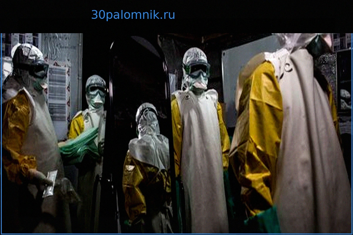 Эбола: 80 погибших в Демократической Республике Конго