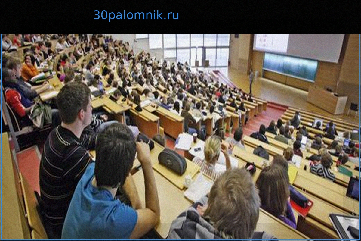 Люди с высоким образованием: самая долгая трудовая жизнь
