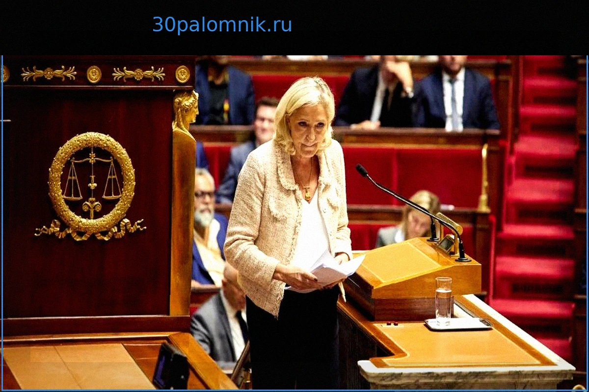 Необоснованные претензии правых и крайне правых к решению Конституционного совета по Зонам с низким уровнем выбросов