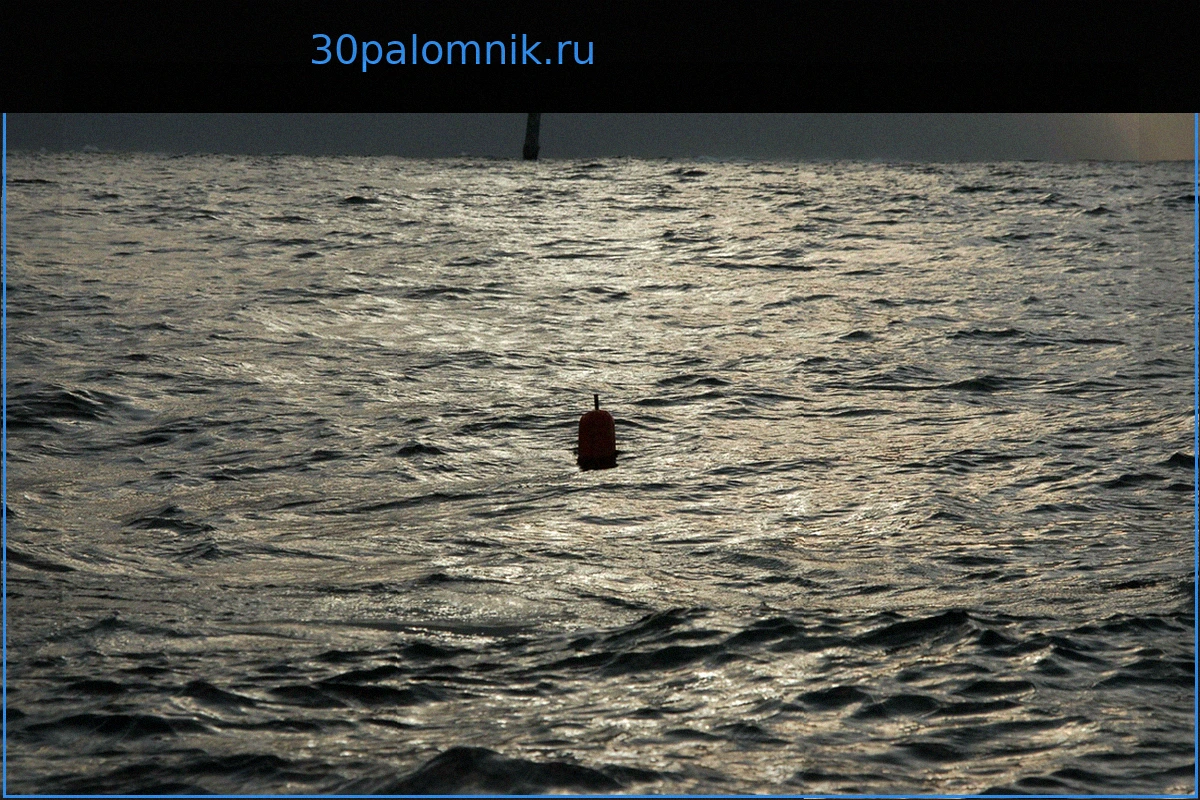 Выживший после 67-дневного дрейфа в Охотском море Михаил Пичугин подаст кассационную жалобу