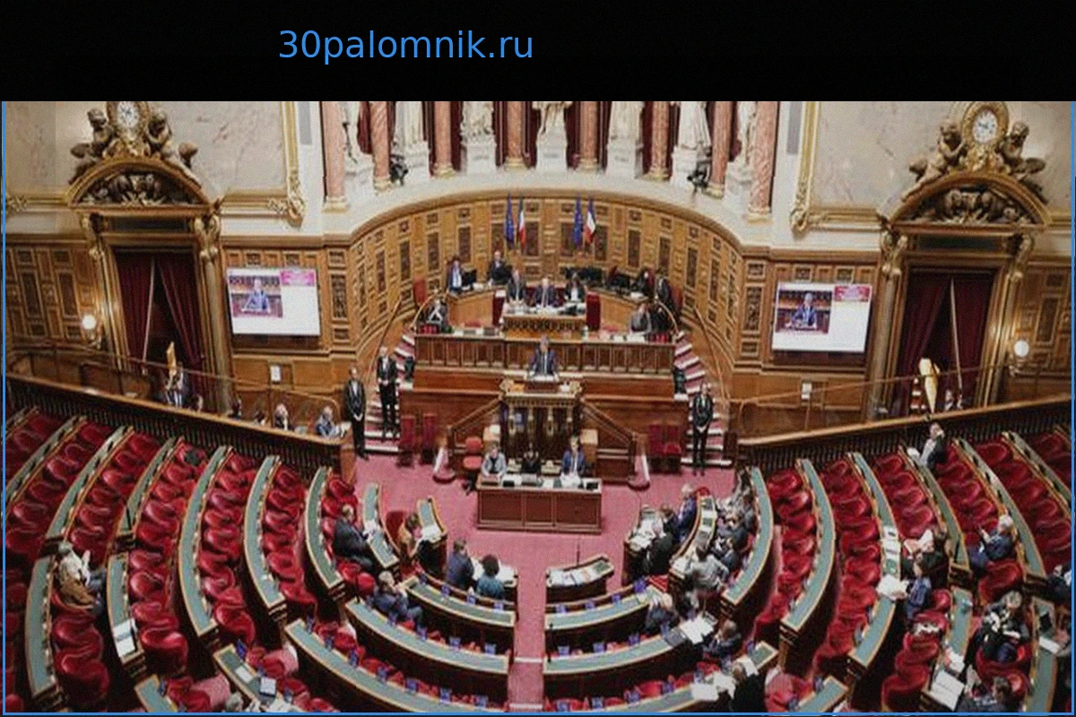 Парламент одобрил законопроект по борьбе с социальным и налоговым мошенничеством, прогнозируется доход в 1,5 млрд евро для государства