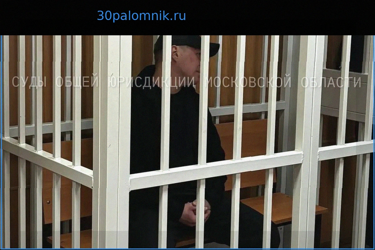 Приговор в Кашире: Мужчина получил срок за убийство друга шампуром