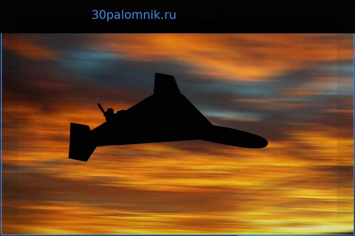 Российские военные показали удары «Гераней» по целям на Украине
