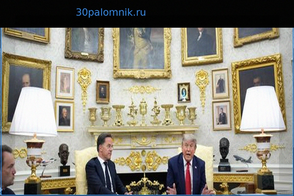 Дональд Трамп критикует Фридриха Мерца и хвалит Владимира Зеленского