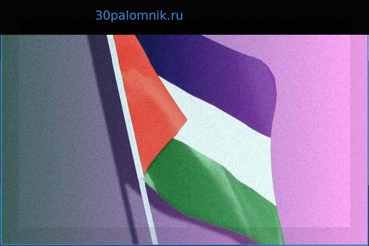 Франция не может поддерживать создание палестинского государства, не поддерживая возрождение палестинской демократии