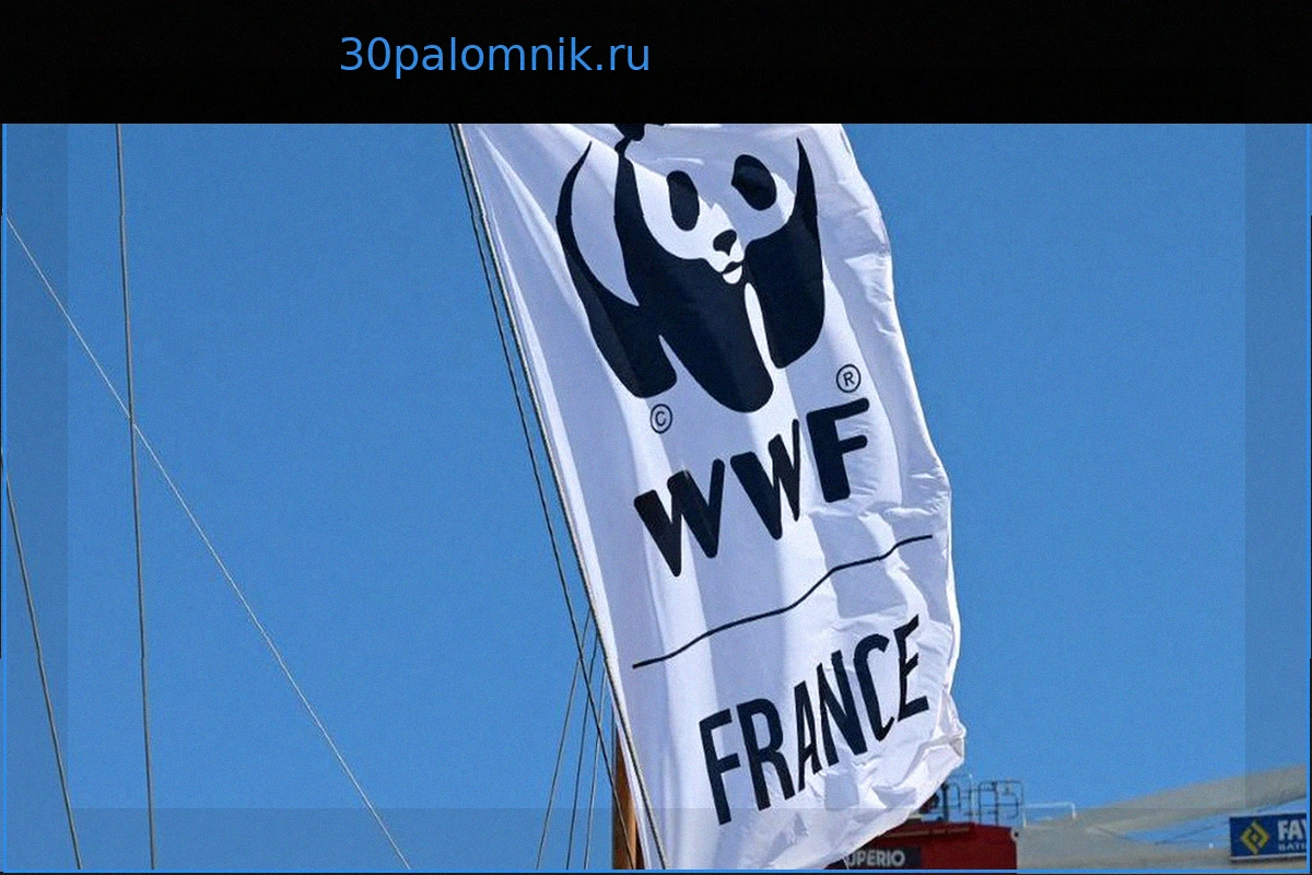Президент WWF Франция подала в отставку из-за критики за участие в антирасистской демонстрации