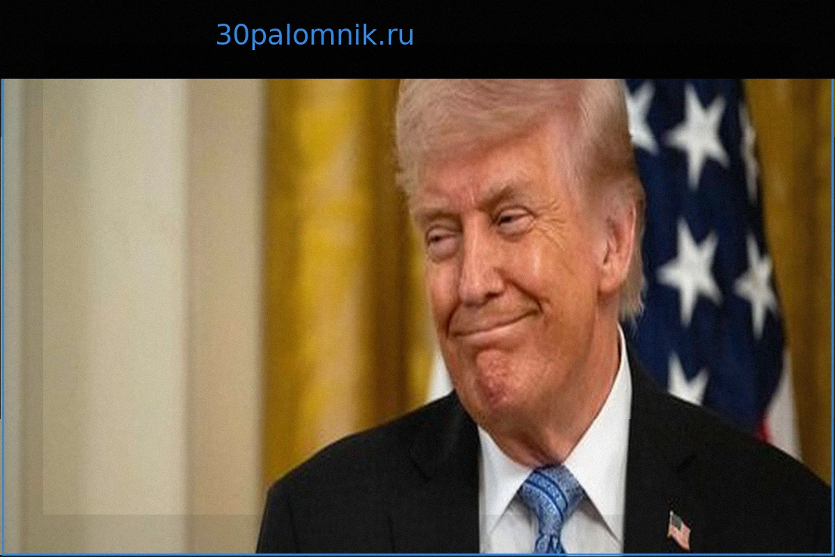 IRS больше не будет проверять прошлые налоговые декларации Дональда Трампа