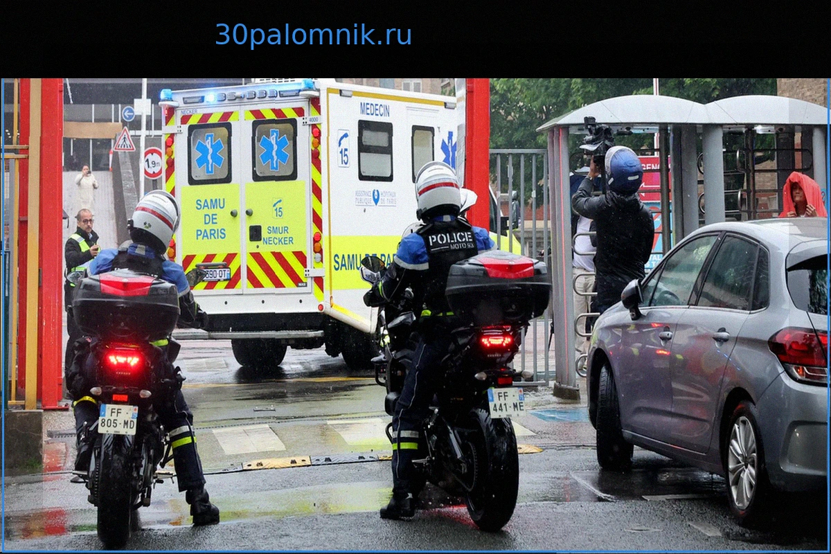 22 француза, контактировавших с хантавирусом: Содержание указа о ночных мерах изоляции