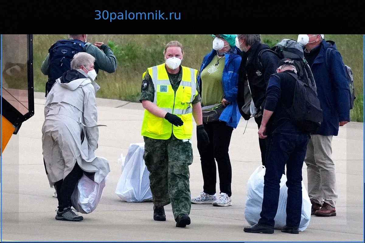 Россиянам назвали опасные из-за хантавируса и холеры страны