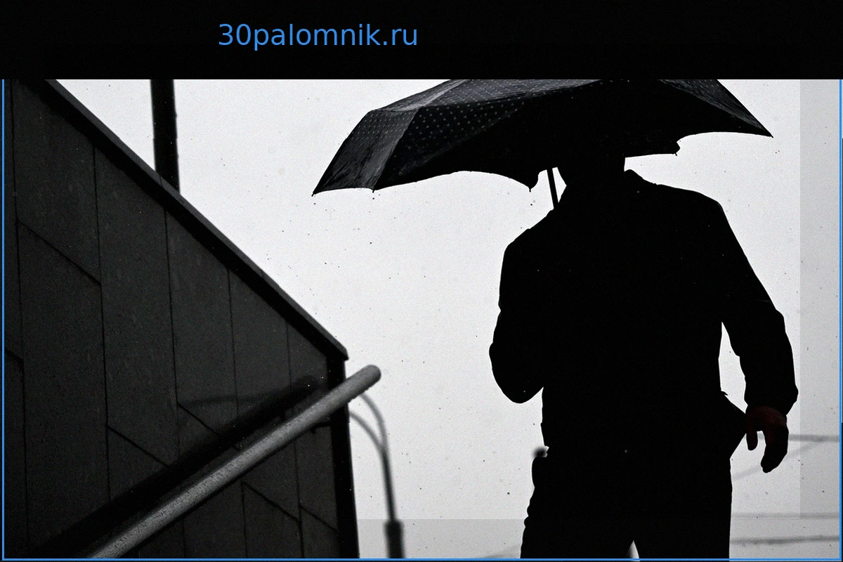 Москвичам назвали самый дождливый день недели