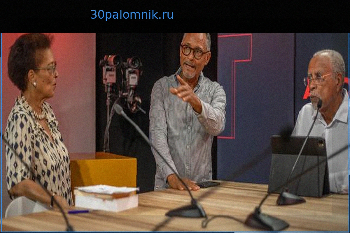 Zitata TV: Динамичный телеканал, близкий к жителям Мартиники