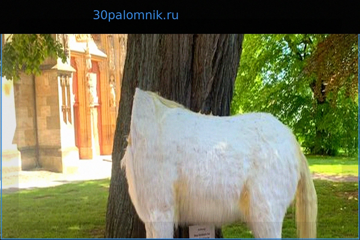 Вандализм в Корбахе: Обезглавленный единорог – дело рук Темного Лорда или несведущих маглов?