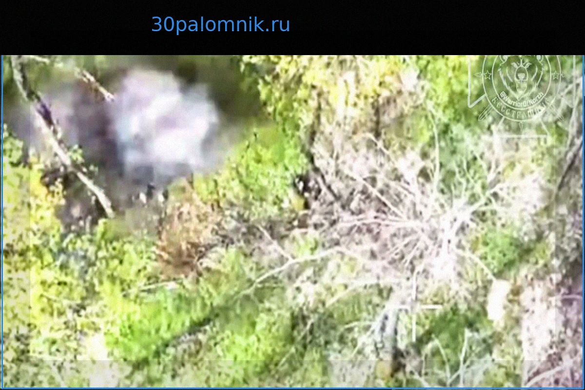 Уничтожение штурмовых групп ВСУ в Купянском районе