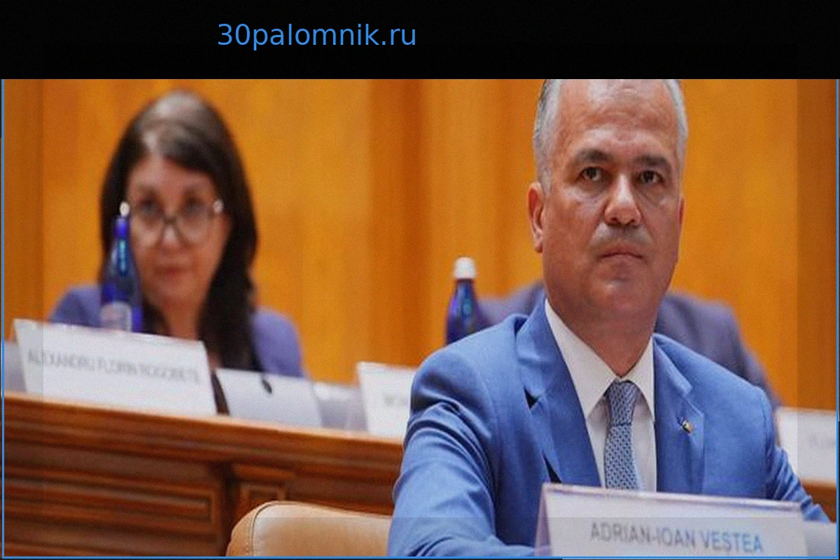 Парламент Румынии отказал Адриану Вестеа в доверии, страна остается без премьер-министра