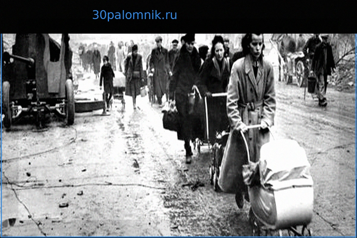 8 мая в Германии: Праздник или день памяти? Противоположные мнения историков