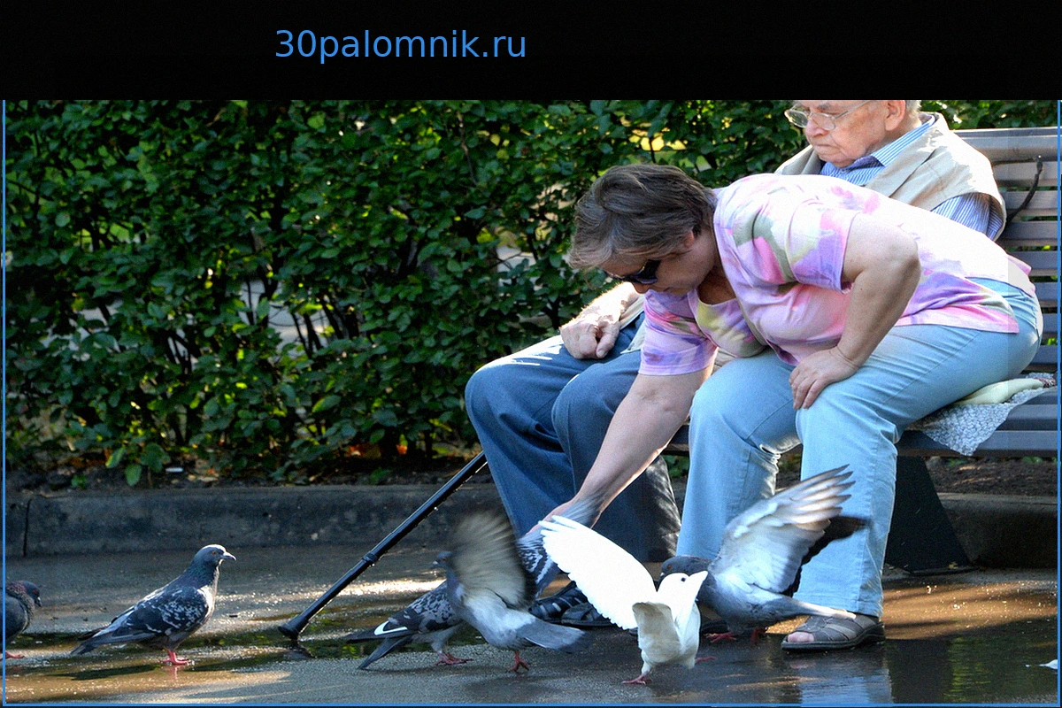 Главный Гериатр Минздрава Назвала Основные Признаки Старения Организма