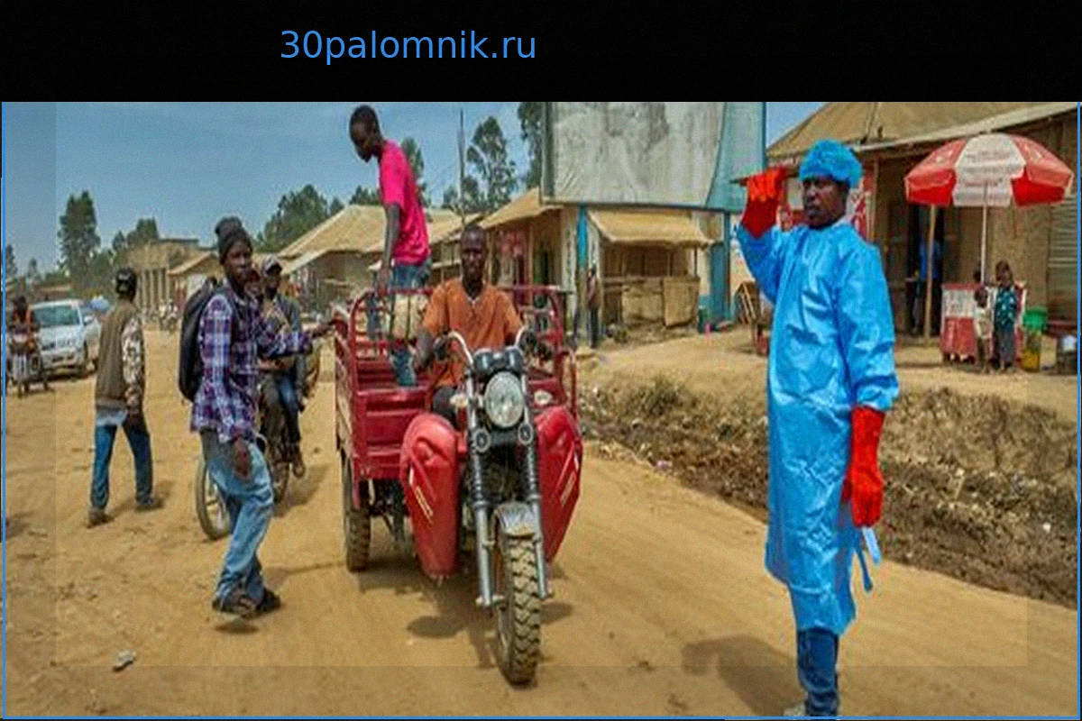 Эбола в ДРК: Число предполагаемых случаев заражения превысило 900