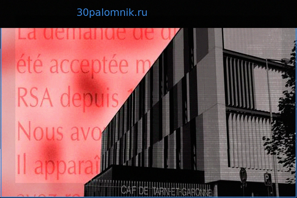 Реформа RSA: Взгляд исполнителей на «различия в подходах», «субъективность» и «двухскоростную систему»