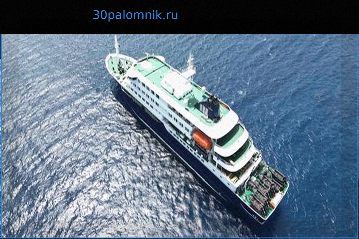 Хантавирус на «MV Hondius»: Вирус на круизном лайнере, предположительно, передается от человека к человеку