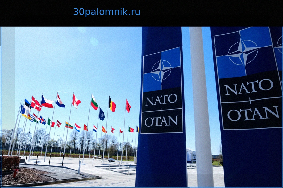 На Западе выступили с обвинениями в адрес НАТО из-за решений по Украине
