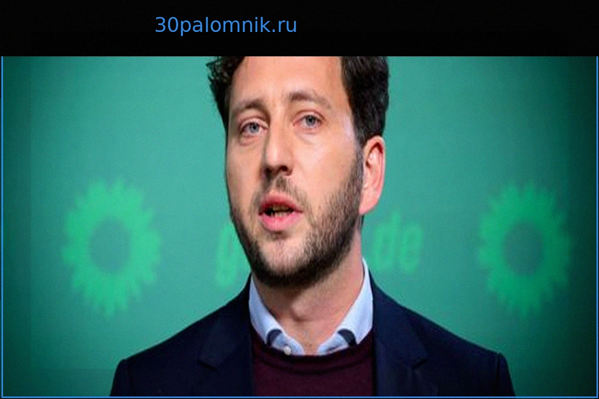 Феликс Банашак: Сопредседатель «Зеленых» должен будет доплатить налоги из-за второго жилья