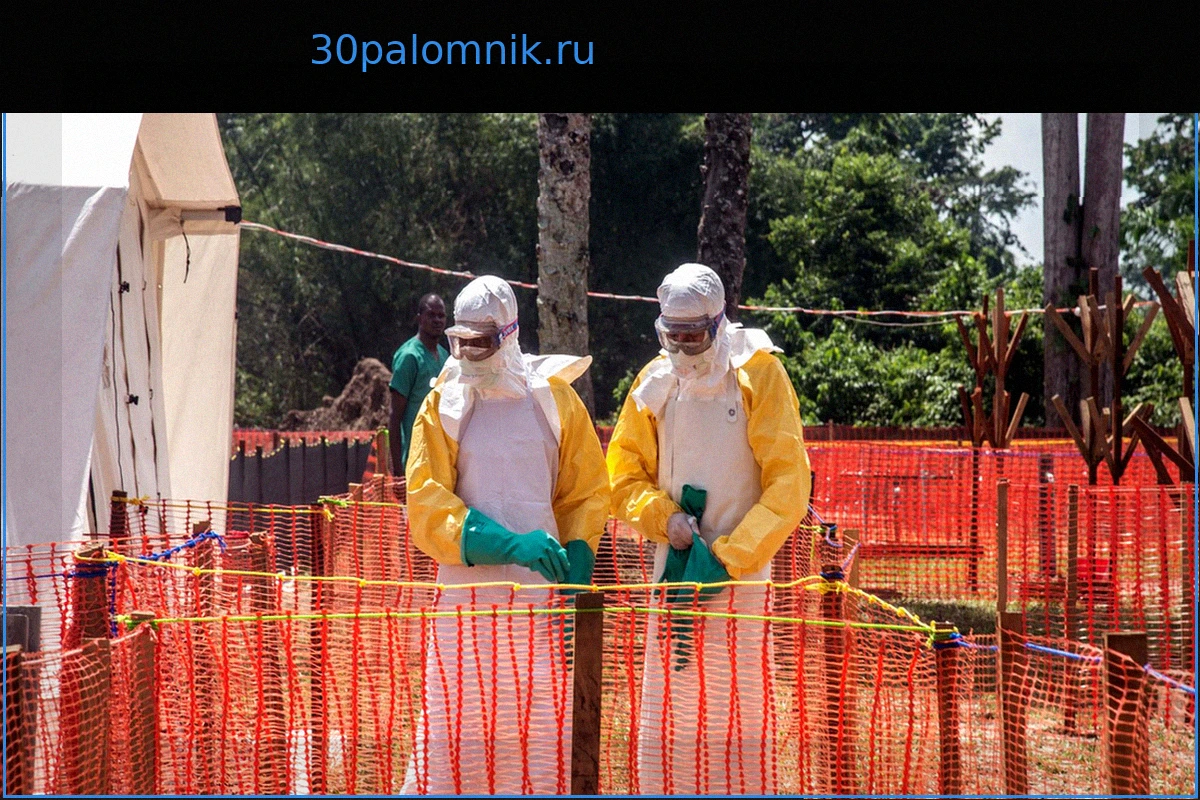ВОЗ объявляет международную чрезвычайную ситуацию из-за эпидемии Эболы в ДРК: что это означает