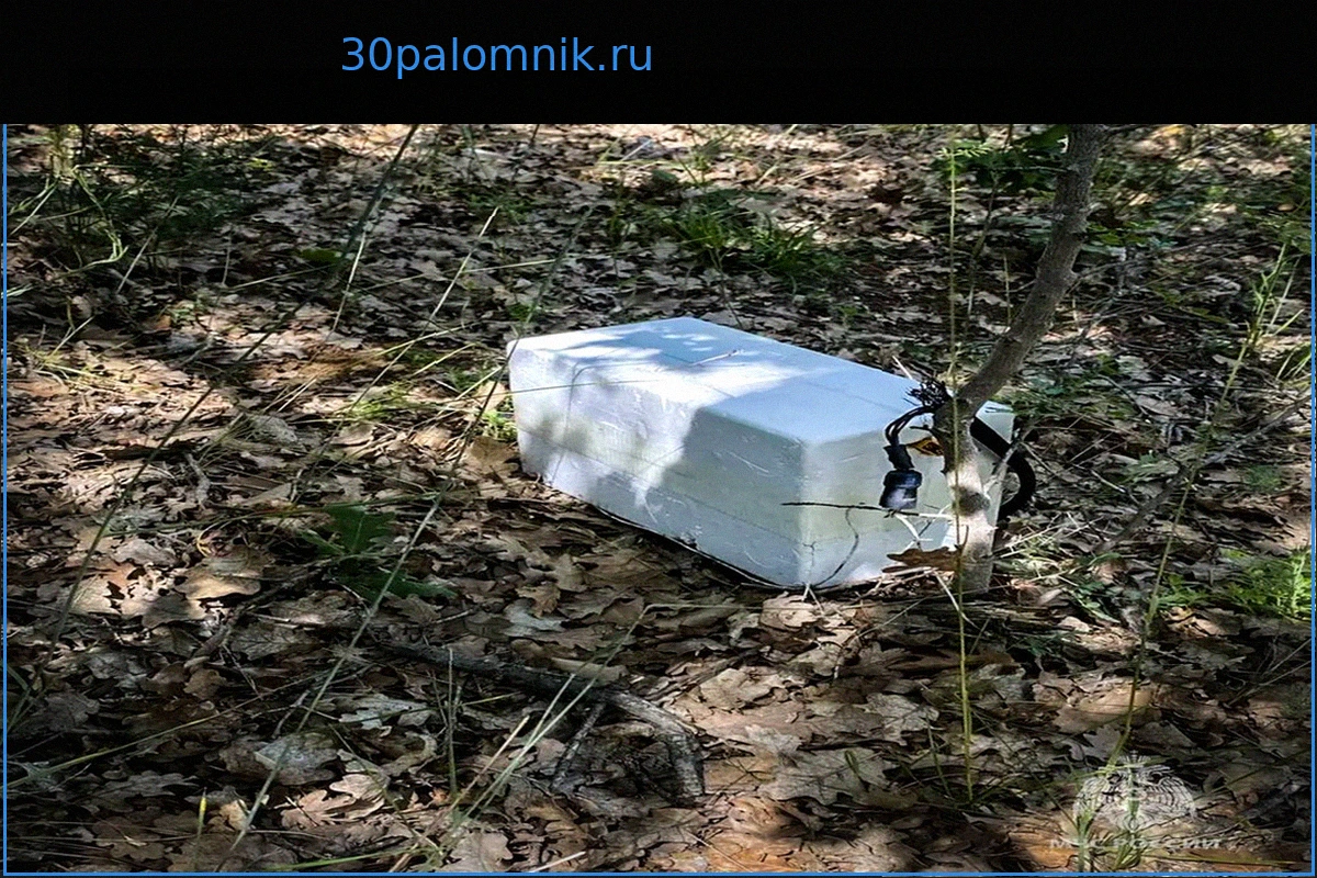 В Севастополе обнаружен контейнер со взрывчаткой после атаки ВСУ