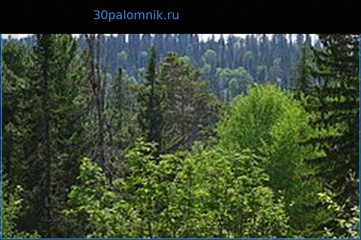 Бывший следователь выдвинул новую версию исчезновения Усольцевых