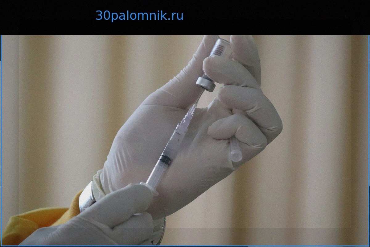 Российская вакцина от аллергии на пыльцу березы: ожидаемые сроки регистрации и выхода на рынок