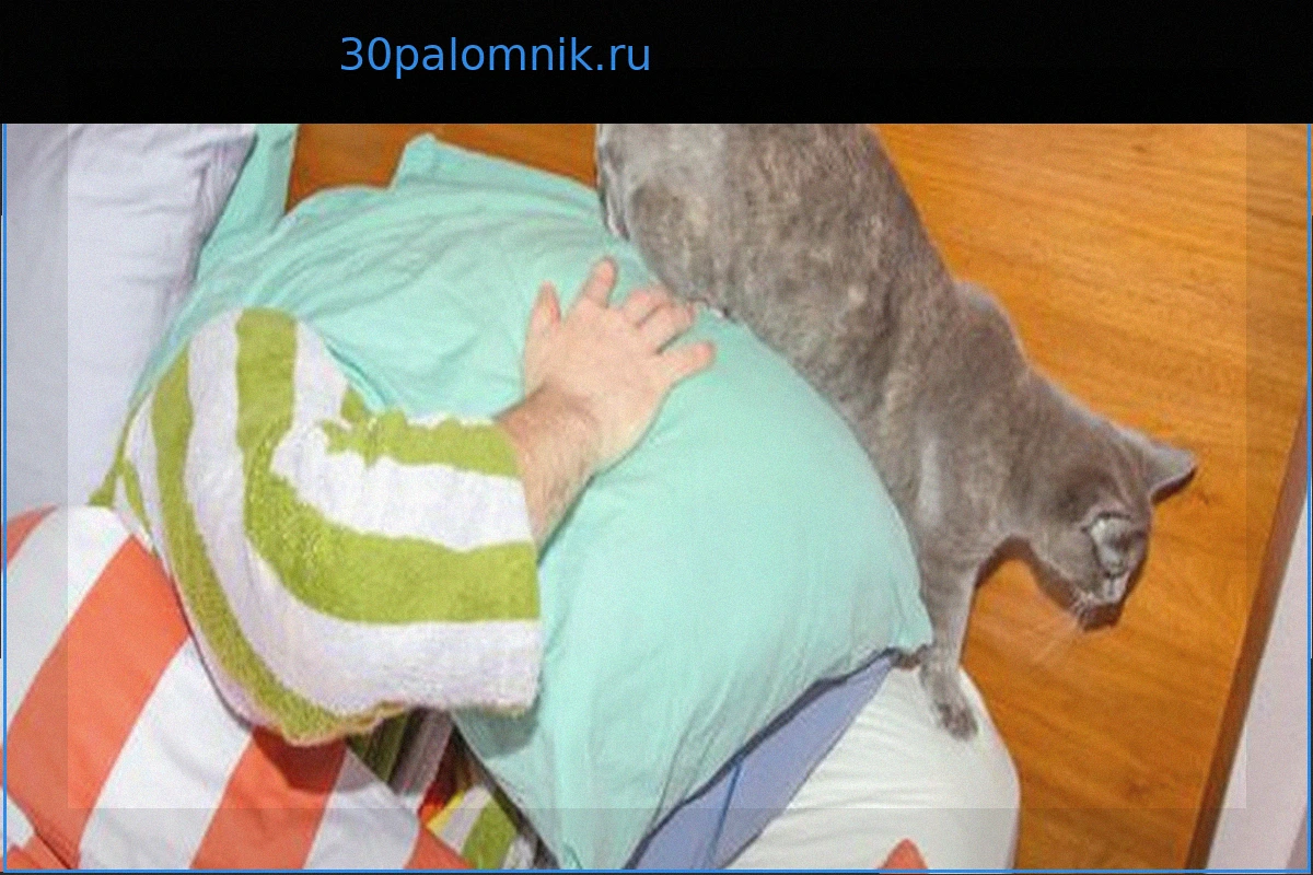 Храп: Что действительно помогает?