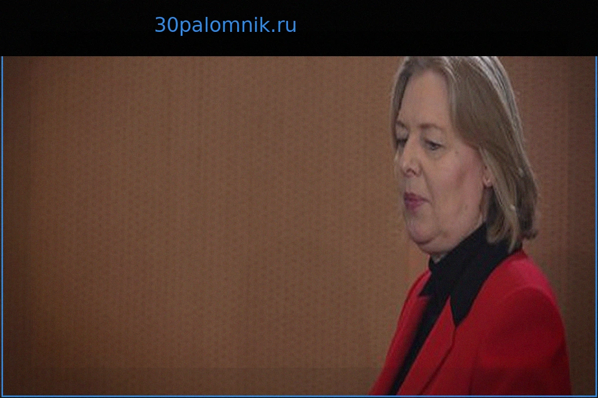 Бербель Бас (СДПГ) о ненависти: «Я стала олицетворением образа врага»