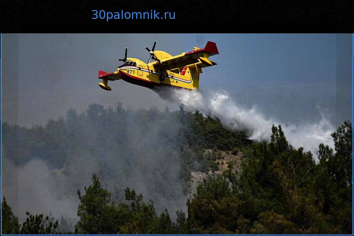 Крупный летний пожар в Оде (Франция) охватил 800 гектаров, ситуация стабилизирована
