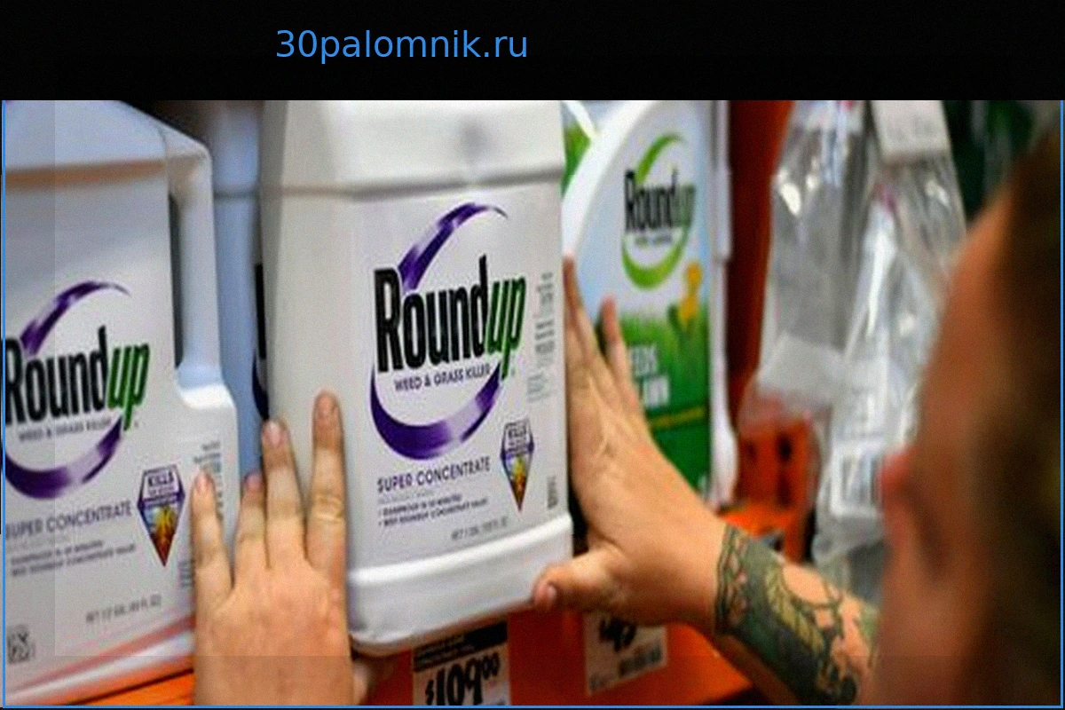 Верховный суд США и глифосат в Roundup: Победа для Bayer и Дональда Трампа