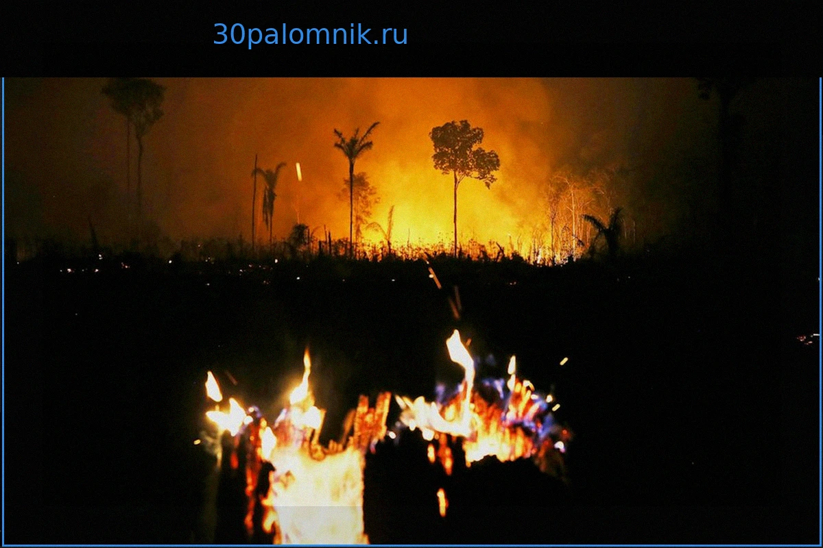 Глобальное потепление: сделает ли Трамп климатические цели недостижимыми?