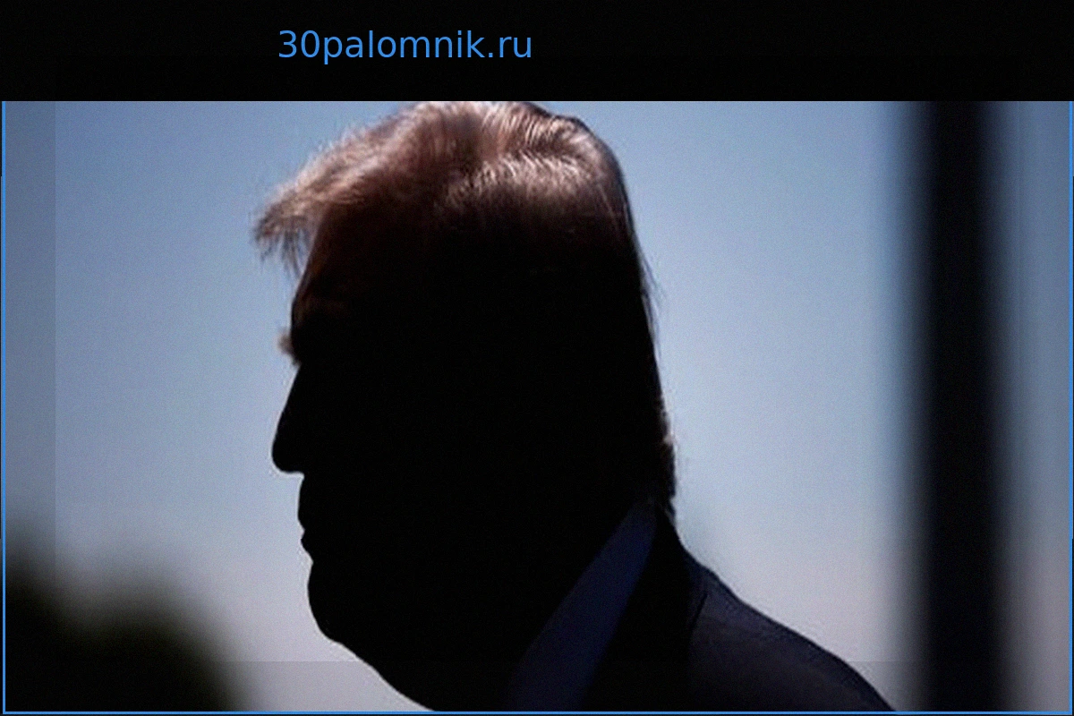 Дональд Трамп: ЕС и деловые круги критикуют планы пошлин, экономисты предупреждают о последствиях