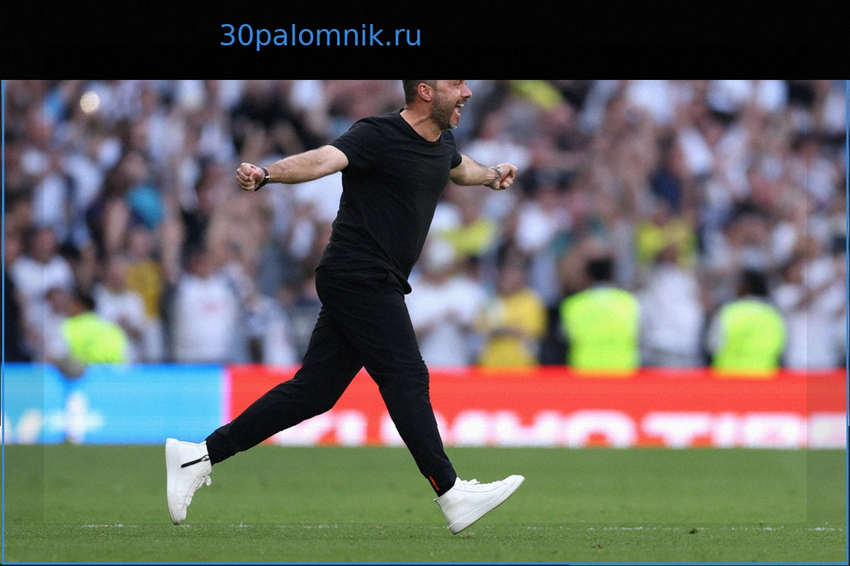 Джеймс Мэддисон: Без Роберто Де Дзерби «Тоттенхэм» вполне мог вылететь