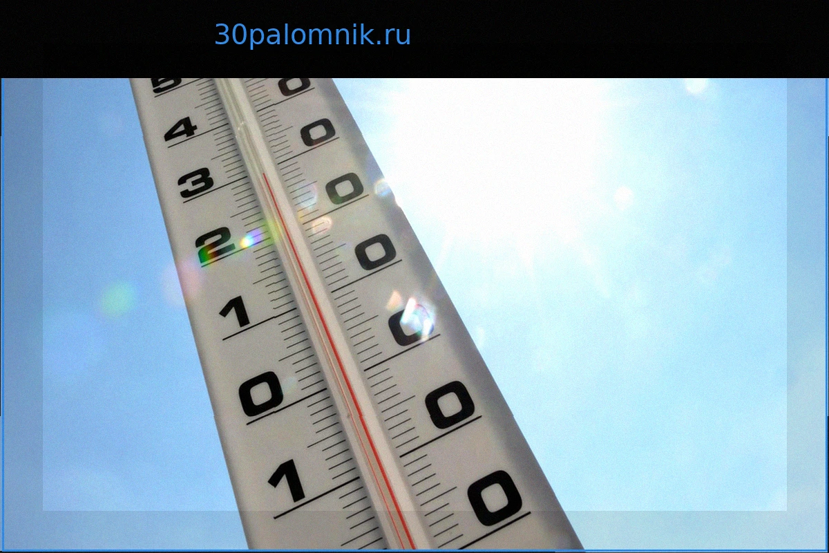 Погода: Желтый уровень опасности из-за жары объявлен в 18 департаментах, ожидается волна зноя