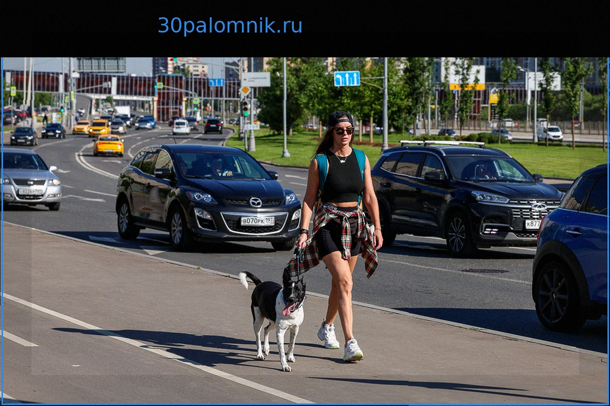 Москвичам пообещали рекордную майскую жару