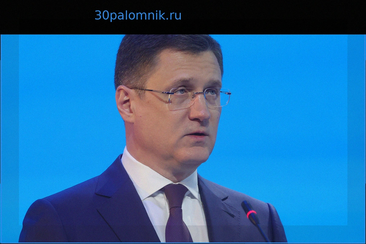 Новак оценил темпы экономического роста в России и назвал прогноз до 2029 года